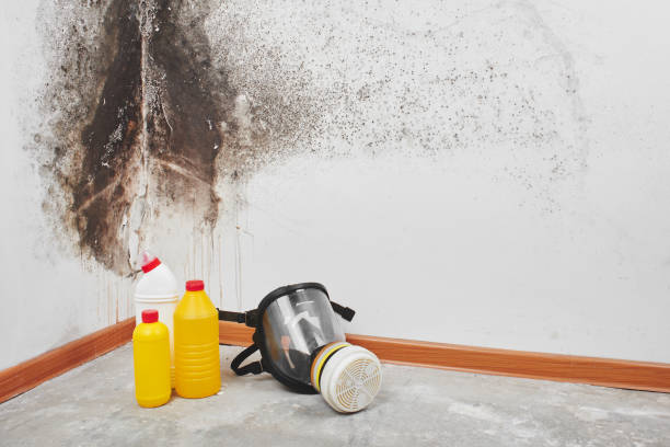 Best Mold Remediation Services  in Wormleysburg, PA