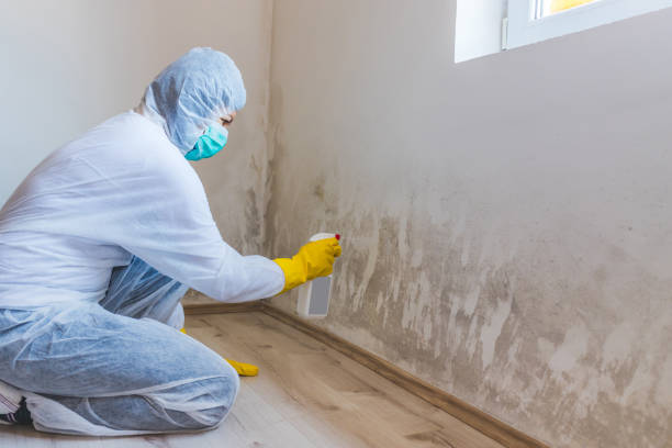 Crawl Space Mold Removal in Wormleysburg, PA