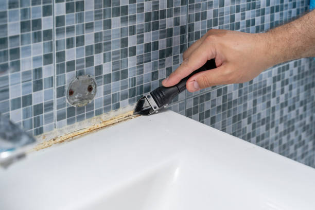 Best Office Mold Removal Services  in Wormleysburg, PA